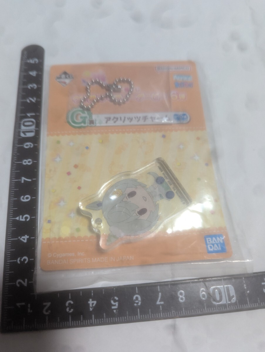 一番くじ ウマ娘プリティーダービー アクリッツチャーム ナイロン未開封 中古拍卖