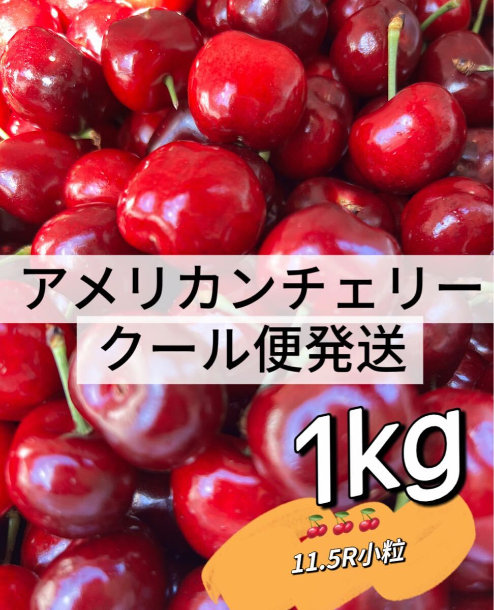 クール便!11.5rアメリカンチェリー1kg 父の日 中元 家庭用 車厘子 美國櫻桃 さくらんぼ 国内検品 訳あり拍卖