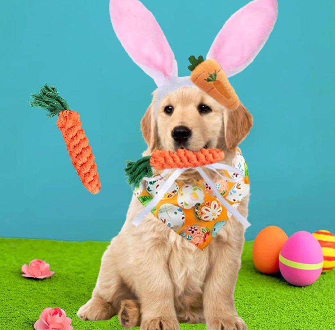 K038 【愛犬用】イースタードッグコスチュームトライアングルドッグチャレル拍卖