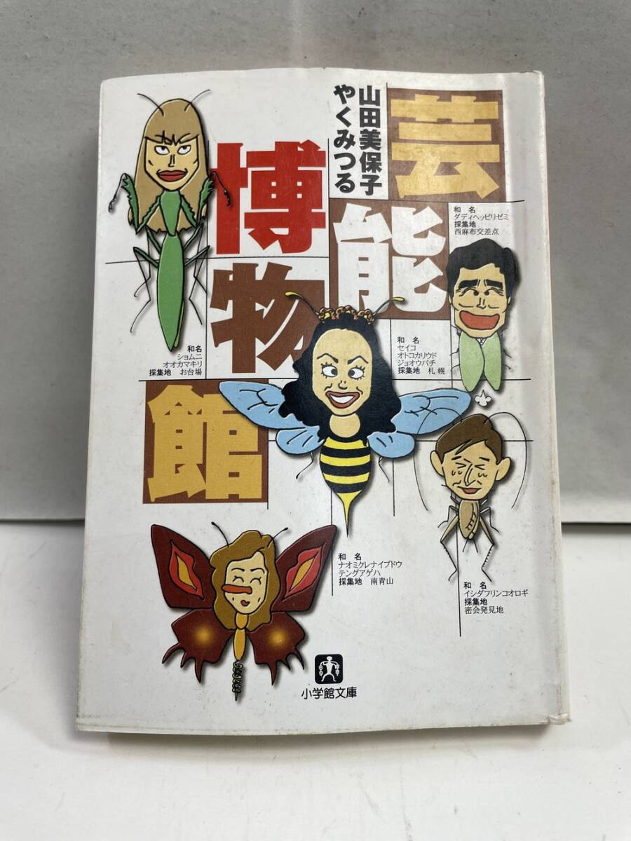 芸能博物館 小学館文庫山田美保子著者やくみつる著者 平成10年 1998年初版【K161123】拍卖
