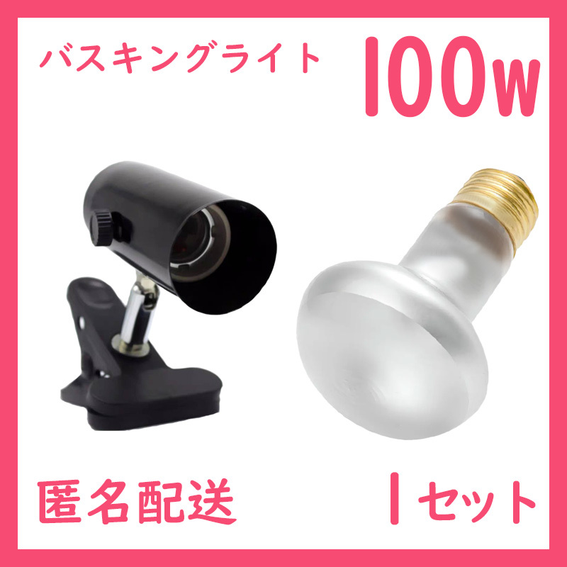 爬虫類ライト【100Wバスキングライト】タイトビームS0041拍卖