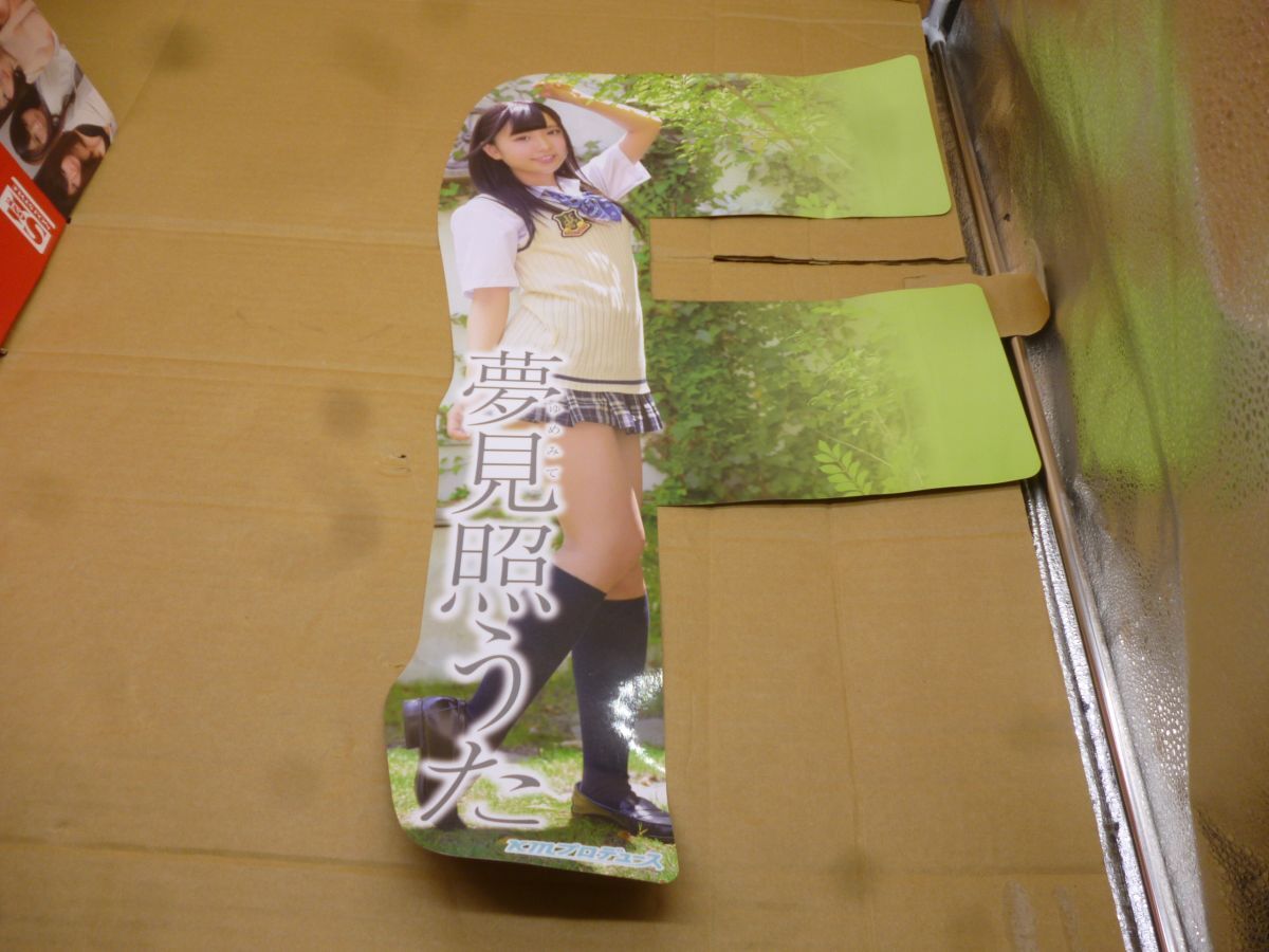 販促POP 夢見照うた KMプロデュース 高さ約70㎝×幅約29.7㎝ 本256 送料無料 管ta 25May拍卖