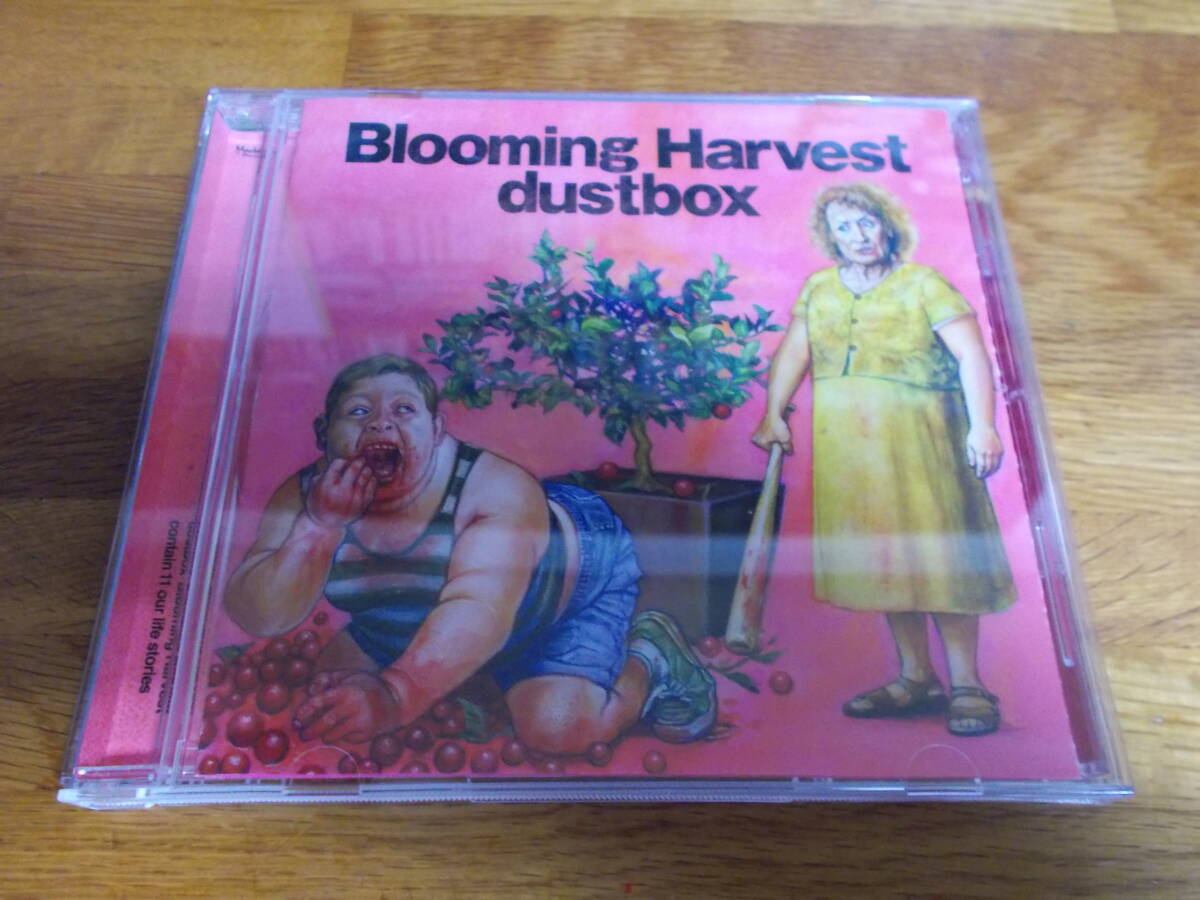 dustbox blooming harvest 拍卖