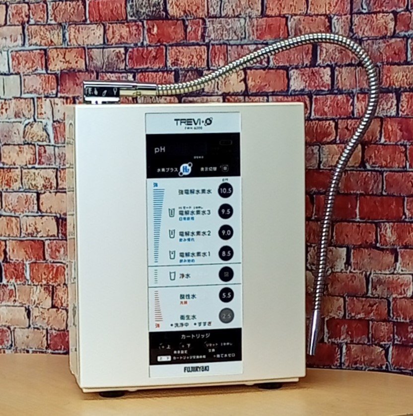 フジ医療器 TREVI FWH-6000(W) トレビ水素プラス 電解水素水生成器S1 還元水【作動確認済み】25104拍卖