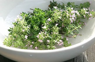 クリーピング タイム ハーブ 50粒 拍卖