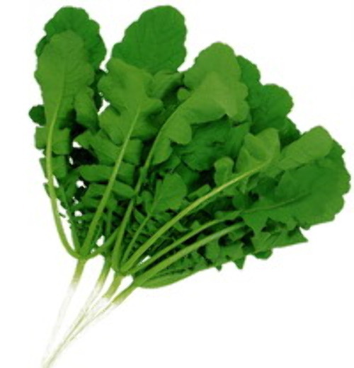 つまみ葉大根 30粒拍卖