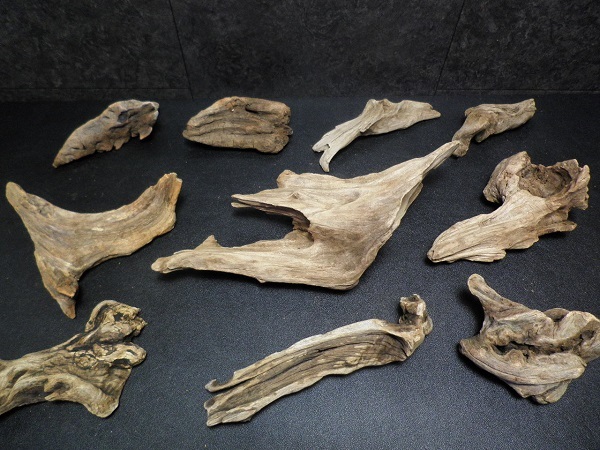 ◆流木 10本セット(10~30cm) アク抜き、沈水未確認 ホーンウッド まとめて 比重軽め セット アクアリウム 水槽 まとめ売り ◆拍卖