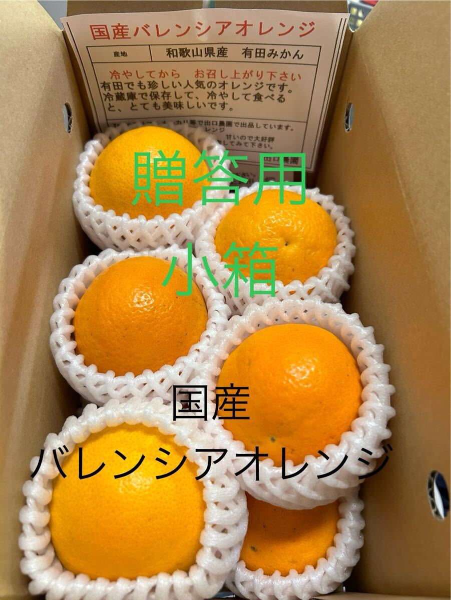 贈答用 小箱 LL 8個 国産バレンシアオレンジ 有田みかん お中元 手土産拍卖