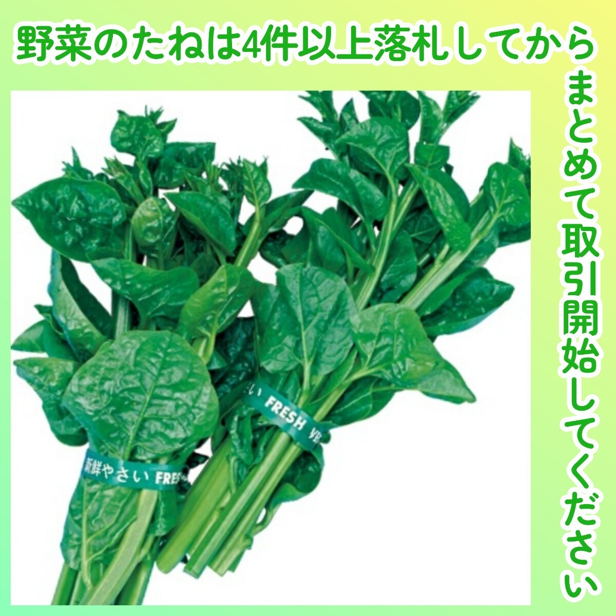 4件以上落札◆ツルムラサキ種◆つるむらさき・青茎 2ml(約30粒)◆固定種 夏場の貴重な葉物野菜拍卖