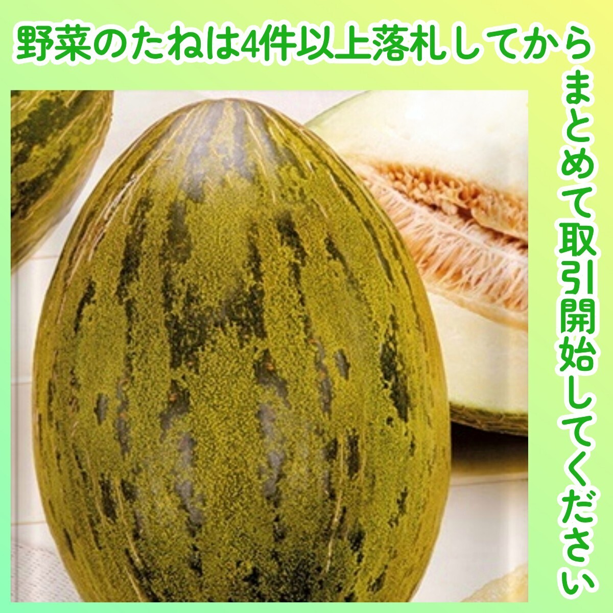 4件以上落札◆メロン種◆ピエール・デ・サポ 3粒◆固定種 ピエールデサポ ピエルデサポ クリスマスメロン サンタクロースメロン拍卖