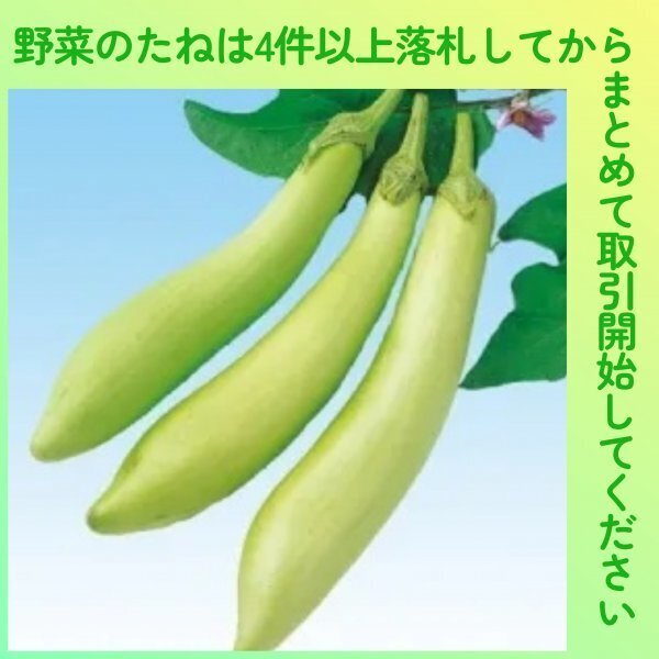 4件以上落札◆ナス種◆白長茄子 10粒◆固定種なす 白長ナス 白ナス 白なす拍卖