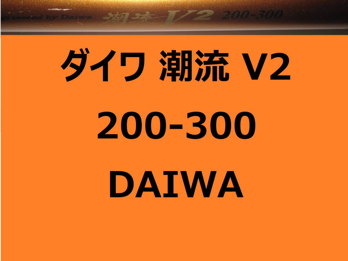 ダイワ 潮流 V2 200-300 並継 DAIWA 錘負荷150~300号拍卖