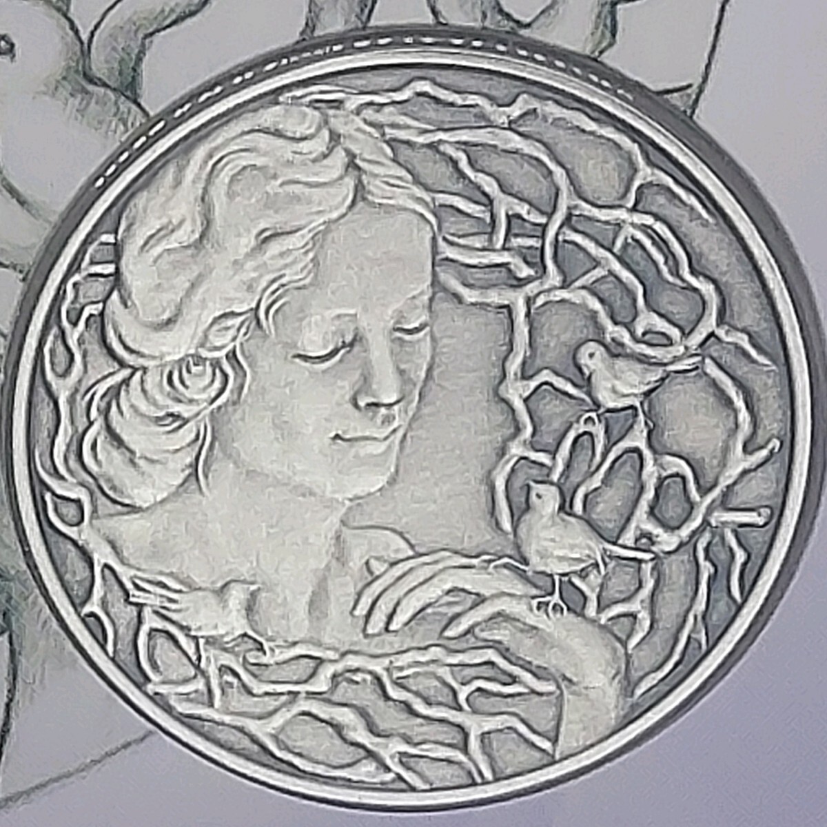 純銀メダル 銀メダル 銀いぶし仕上 国際コイン デザイン コンペティション 2021 自然における人間性 造幣局拍卖