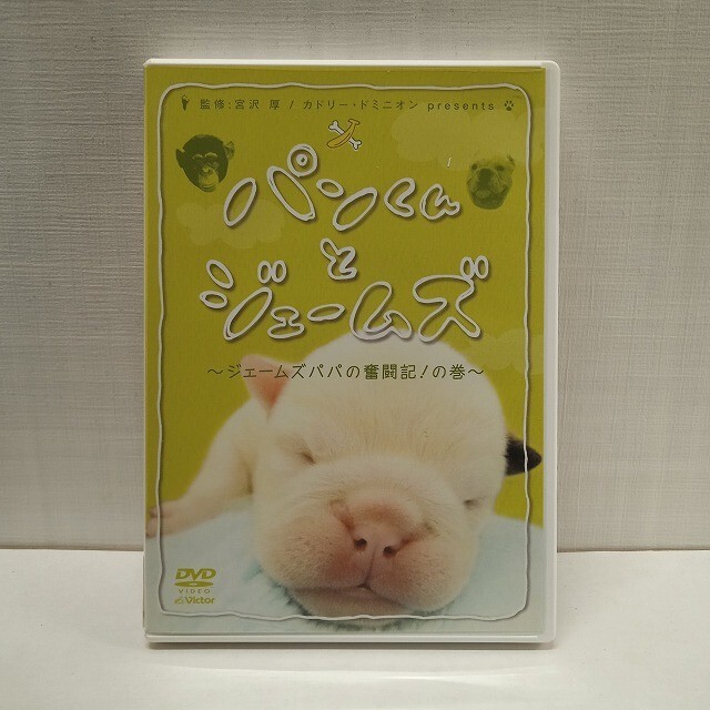 セル版【DVD】『パンくんとジェームズ ~ジェームスパパの奮闘記!の巻き~』〈中古〉趣味・実用 ★R2504-1314拍卖