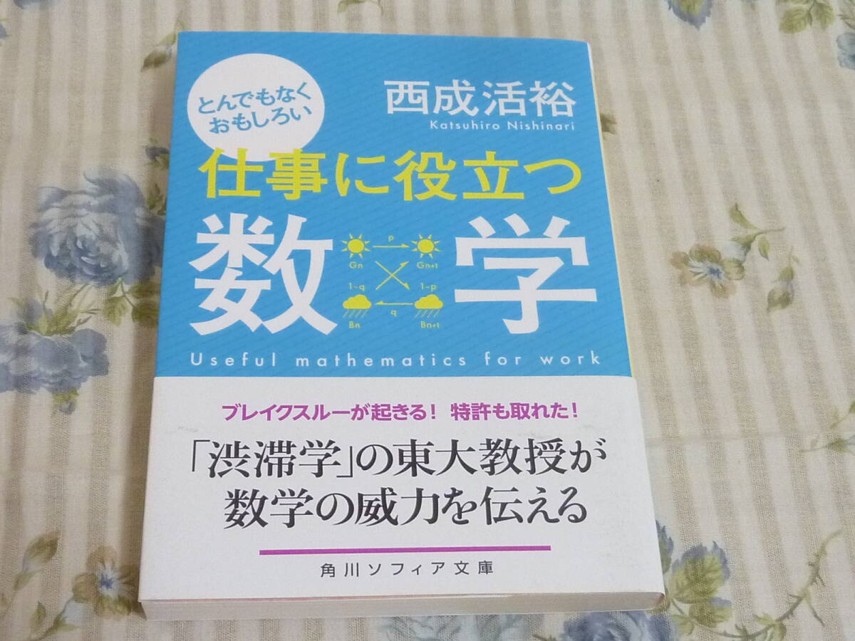 美品★仕事に役立つ数学・西成活裕/とんでもなくおもしろい・渋滞学東大教授・角川ソフィア文庫拍卖