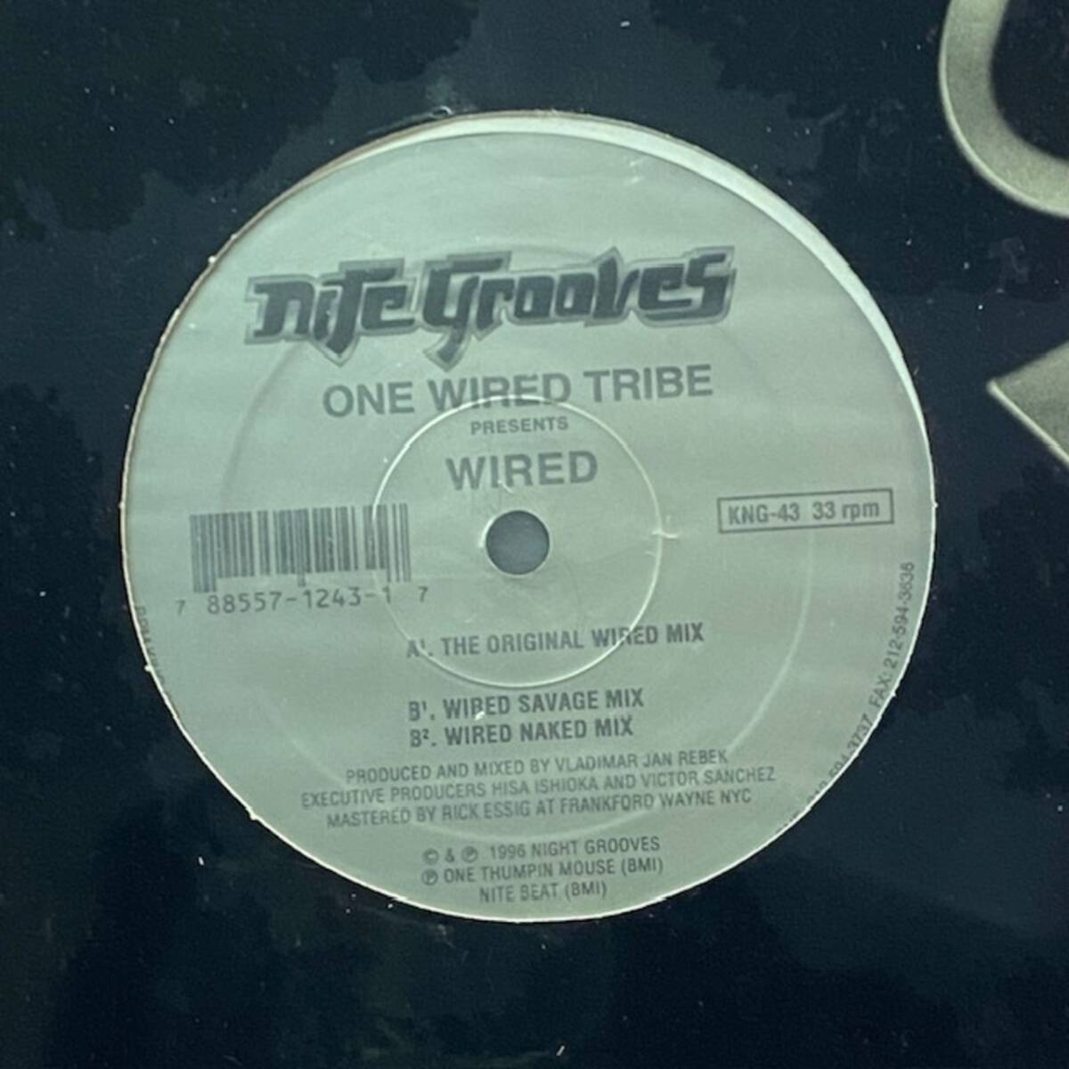 ★One Wired Tribe - Wired(★盤面ほぼ良品!)拍卖