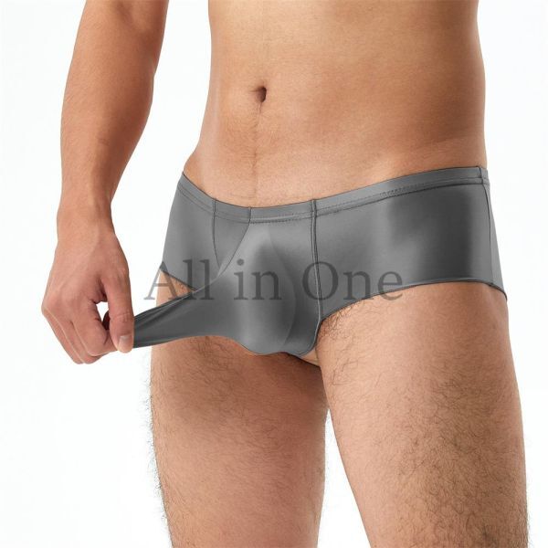 180-142-11 光沢 ツヤツヤ メンズ サオ付き ローライズ パンツ【グレー,XL】男性 下着 セクシー アンダーウェア ショーツ ブリーフ .3拍卖