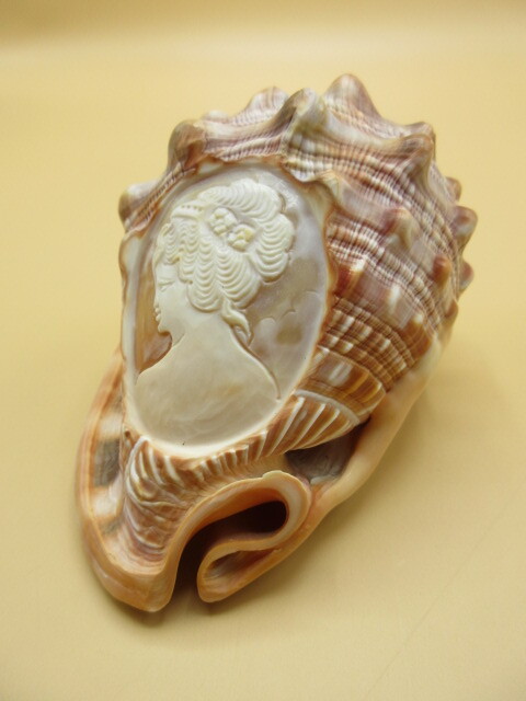シェル カメオ 貝殻 彫刻 イタリア製拍卖