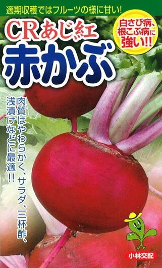 送料無料 CRあじ紅 赤かぶ 50粒拍卖