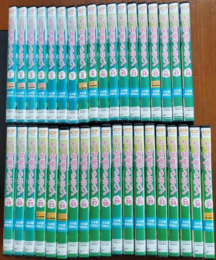 もう我慢できない!【全37巻セット】 レンタル版DVD  ケースなし  送料無料拍卖