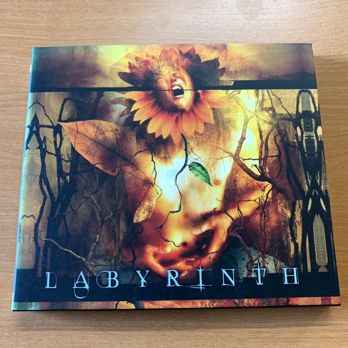 中古CD LABYRINTH / ラビリンス 紙ケース/国内盤/ステッカー付き KICP-932【1024】イタリアンメタル拍卖