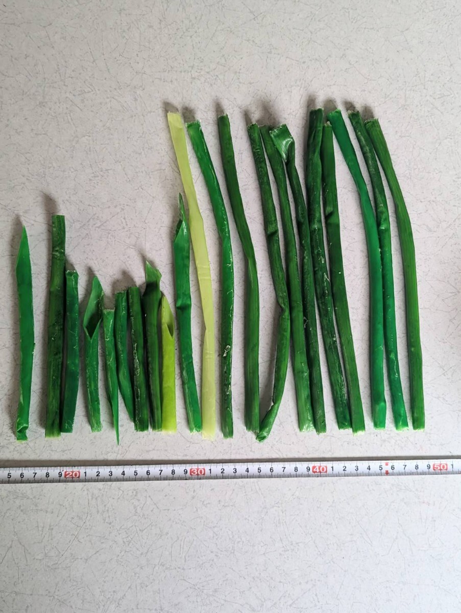 【まいづる食品サンプル】ネギ ねぎ E-21拍卖