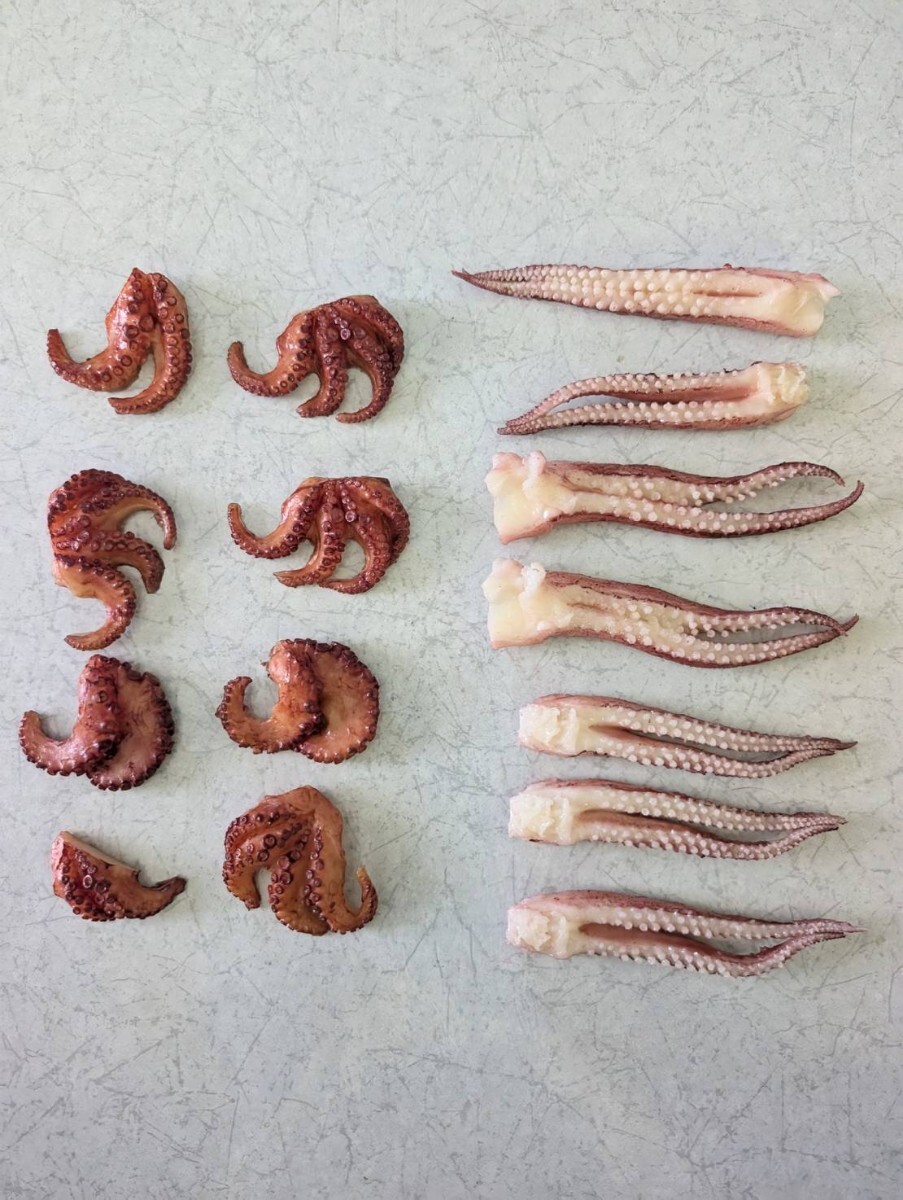 【まいづる食品サンプル】いか 単品売り E-30拍卖