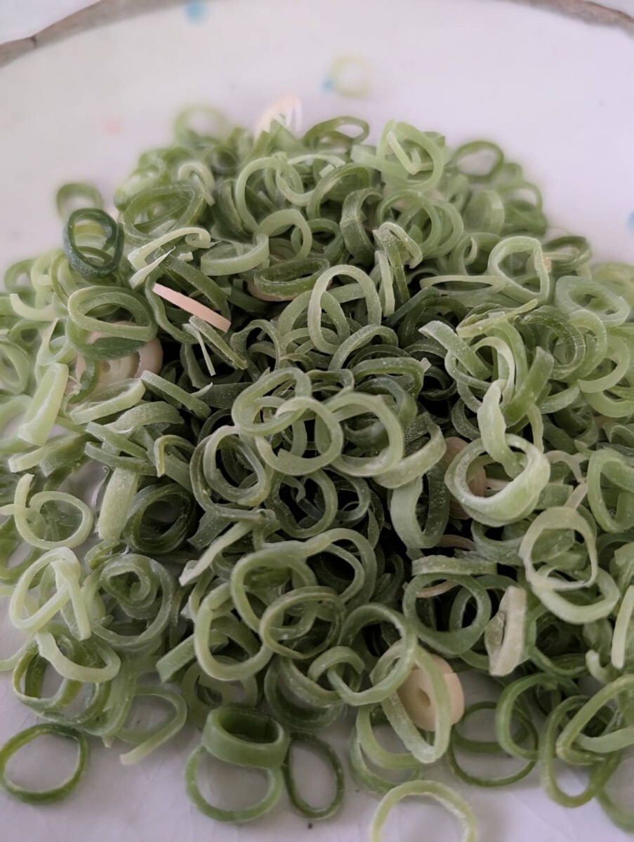 【まいづる食品サンプル】ネギ 2種 E-38 各1111円拍卖