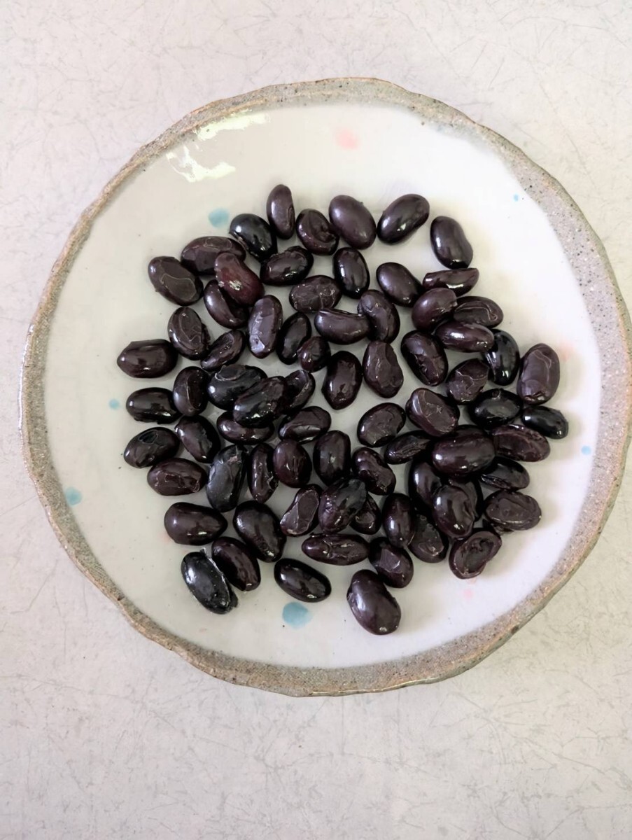 【まいづる食品サンプル】黒豆 E-45-6拍卖