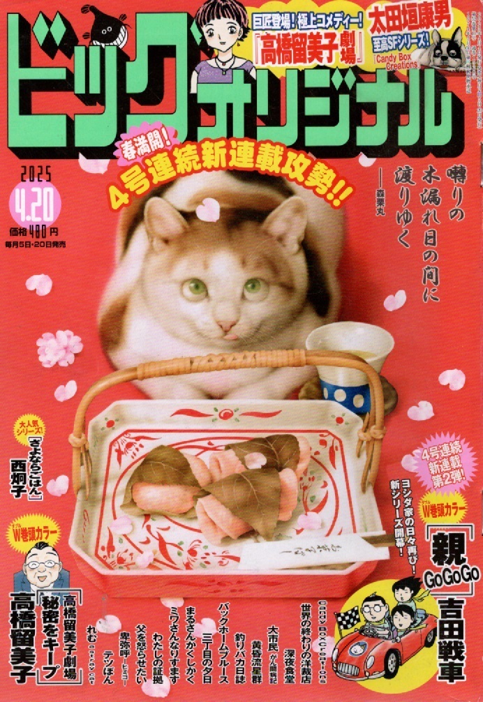 ビッグコミックオリジナル 2025年4月20日号 第8号(小学館)拍卖