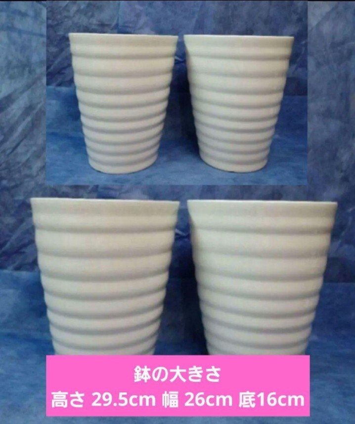 【植木鉢 陶器鉢】【AK-80L】C-86【4個】ラン 胡蝶蘭 化粧鉢 蘭鉢 鉢カバー)(洋ラン シンピジューム カトレア ファレノプシス パフィオ)拍卖