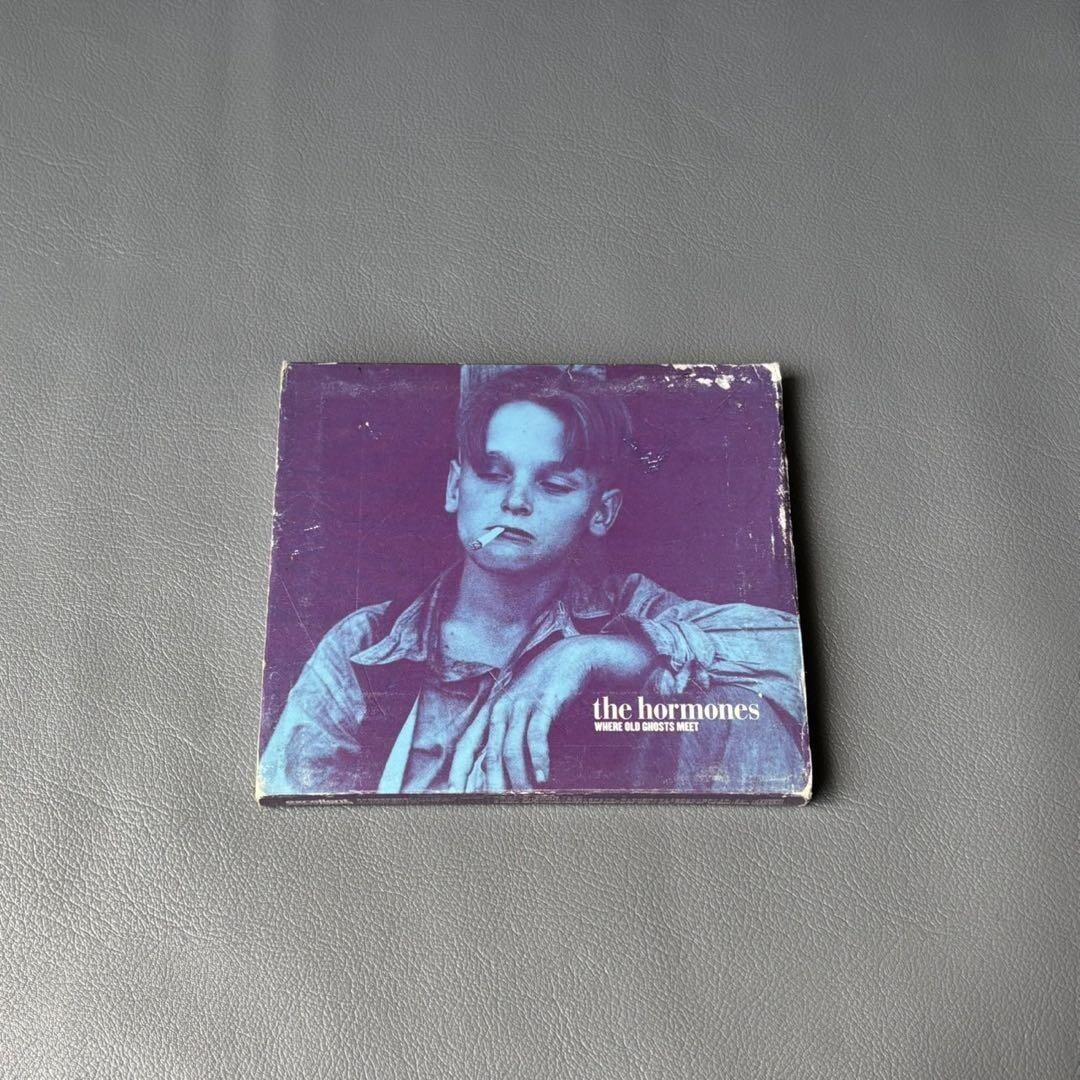 The Hormones / Where Old Ghosts Meet + B-Sides & Extras 2枚組CD レア 国内盤 excellentレーベル拍卖