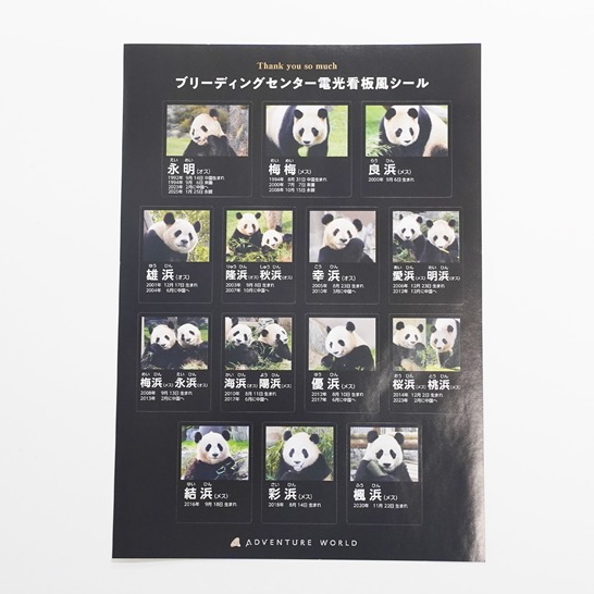 ★アドベンチャーワールド Thank you PANDA FAMILY ブリーディングセンター電光看板風シール★ ジャイアントパンダ 良浜 結浜 彩浜 楓浜拍卖