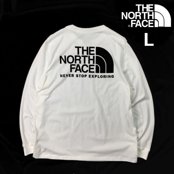 売切り【正規新品】THE NORTH FACE L/S EVOLUTION THROWBACK TEE 長袖 Tシャツ ロンT US限定 ハーフドームロゴ アウトドア(L)白180902-18拍卖