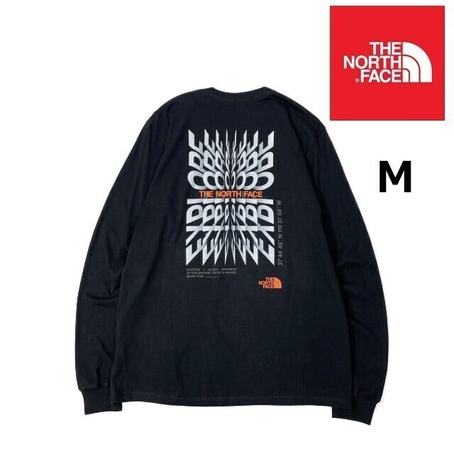 売切り【正規新品】THE NORTH FACE◆ L/S BRAND PROUD TEE 長袖 Tシャツ ロンT US限定 ボックスロゴ グラフィック 男女兼用(M)黒 180902-23拍卖