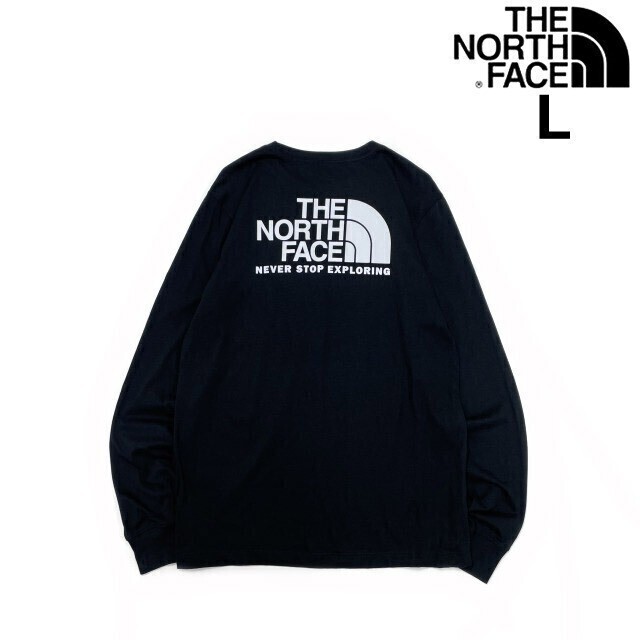 売切り【正規新品】THE NORTH FACE◆EVOLUTION THROWBACK 長袖 Tシャツ ロンT US限定 バックプリント 男女兼用 アウトドア(L)黒 180902-20拍卖