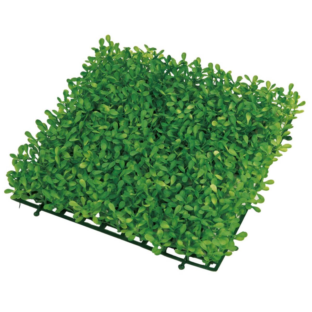 東京堂 造花 #グリーン MAGIQブランド ボックスウッドマット FG001346拍卖