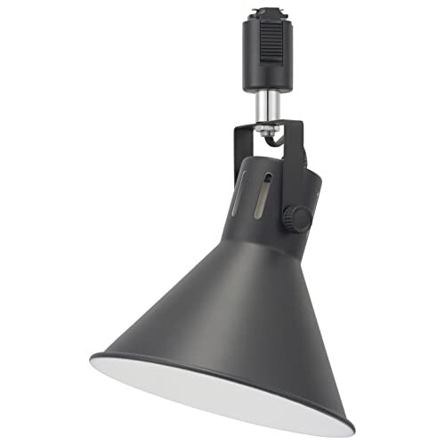 オーム電機 ダクトレール用スポットライト レールライト ライティングダクト用 E26口金 ブラック ORL-SE26M-K 06-5022 OH拍卖