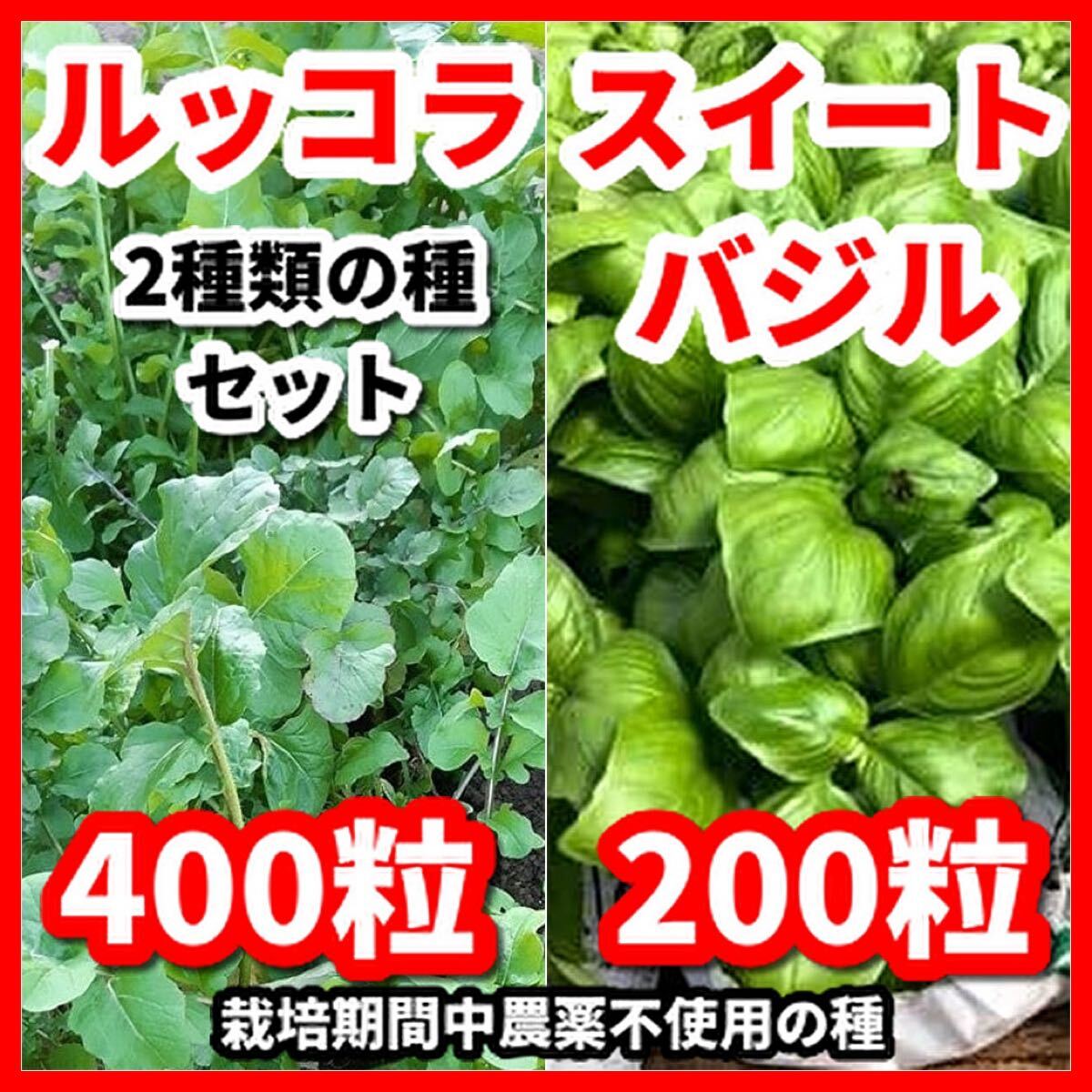 スイートバジル&ルッコラの種セット★令和6年産★栽培期間中農薬不使用の種令和6年産拍卖