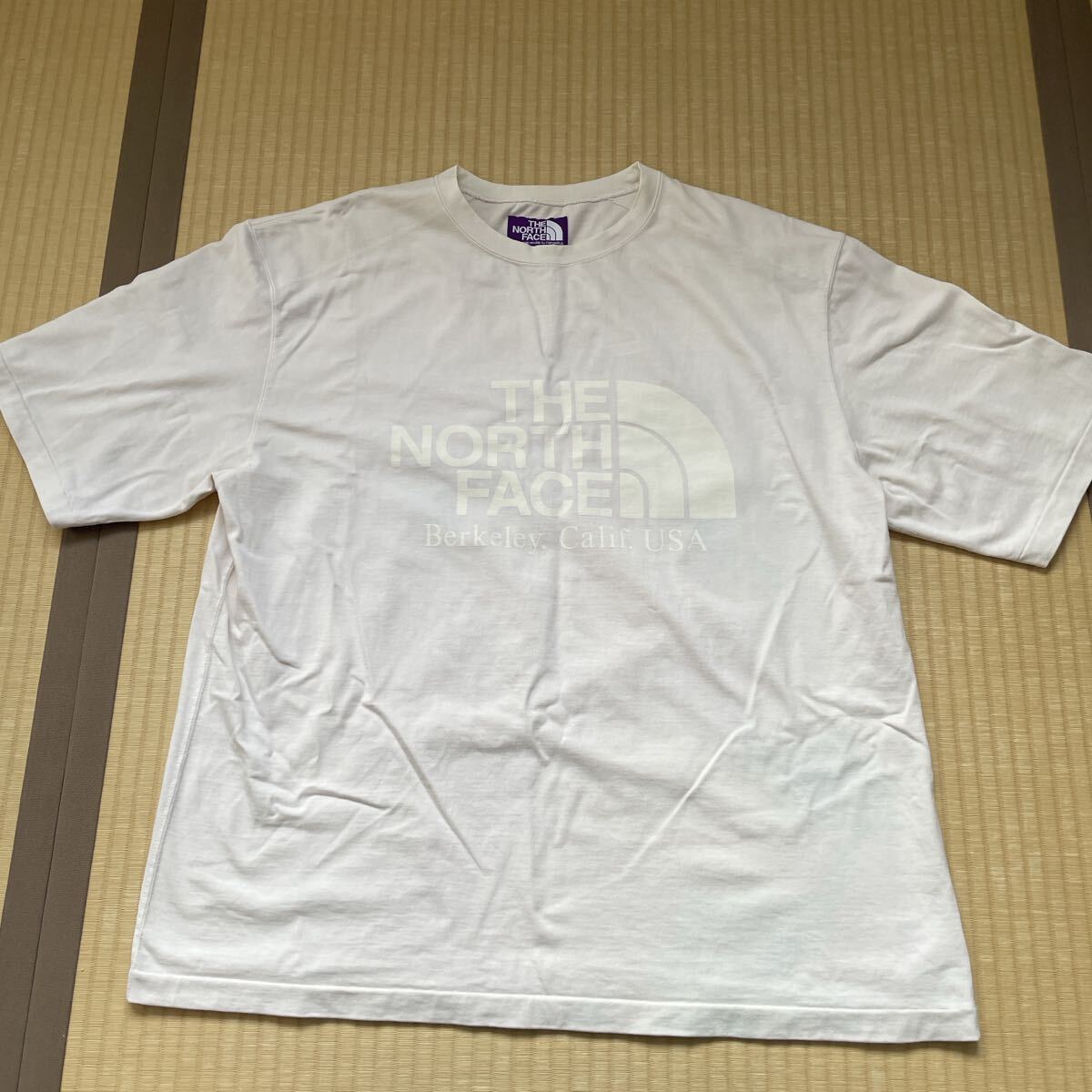 THE NORTH FACE Purple Label 半袖Tシャツ ノースフェイス Natural Dye Product ナチュラルダイ Tシャツ the north face 半袖口ゴTシャツ拍卖
