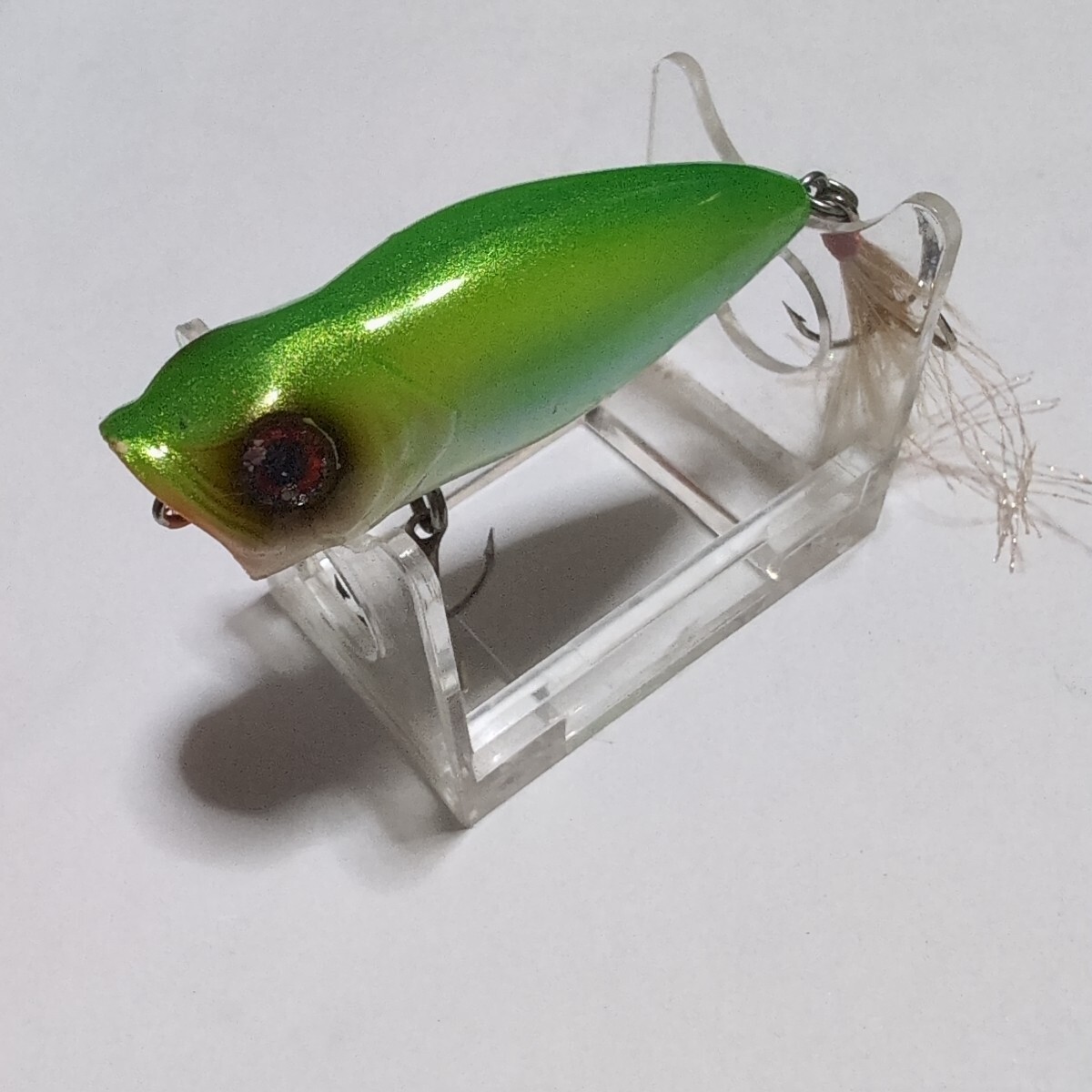 ■エバーグリーン■コンバットポッパーバンビーノ■赤目アマガエル■中古品■拍卖