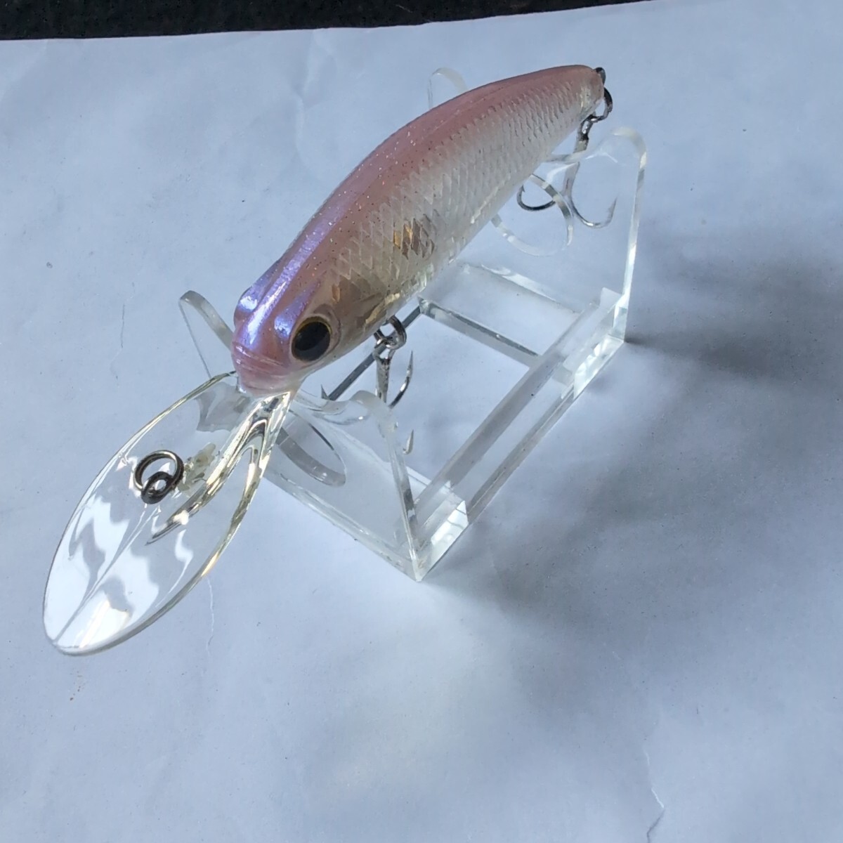 ■エバーグリーン■CCプレデター■スプリングプロッサム■中古品■拍卖