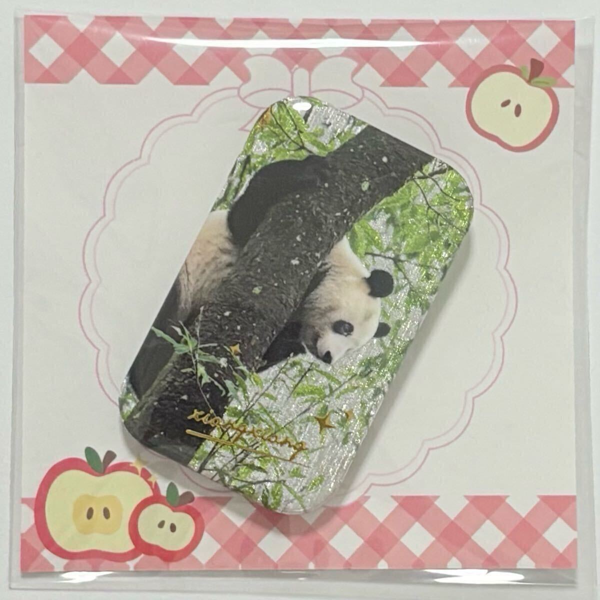 シャンシャン(香香) 缶バッジ/中国雅安碧峰峡 ジャイアントパンダ 熊猫香香 上野動物園 缶バッヂ 缶バッチ拍卖