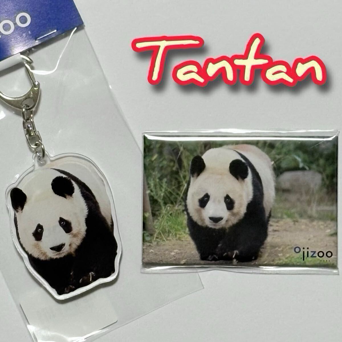 タンタン のしのし●アクリルキーホルダー ●角マグネット 王子動物園オリジナル/旦旦 ジャイアントパンダ アクキー シャンシャン拍卖