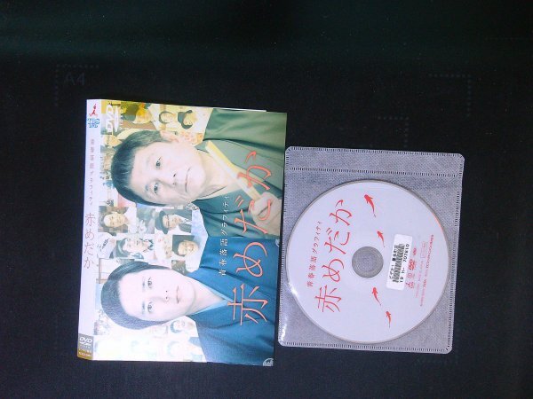 赤めだか  DVD 二宮和也   ビートたけし 即決 送料200円 713拍卖