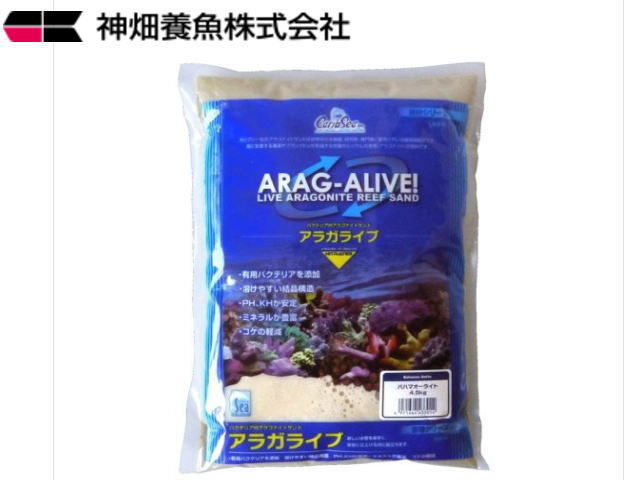 カリブシー アラガライブ バハマオーライト 4.5kg 送料無料 管理80拍卖