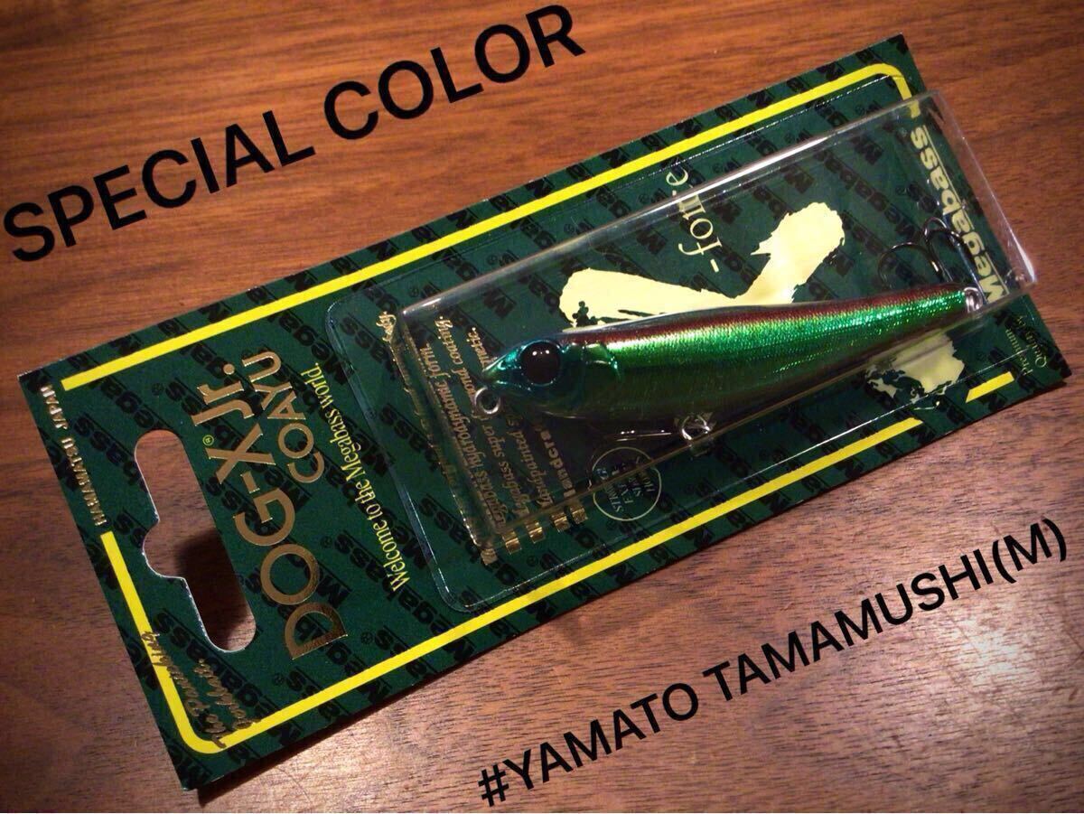★新品★Megabass メガバス DOG-X Jr.COAYU ドッグX Jr.コアユ ドッグエックスジュニア“SP-C/LIMITED/限定”「YAMATO TAMAMUSHI(M)」拍卖