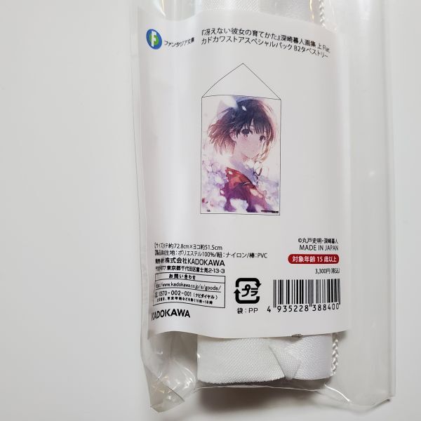 【送80】未開封 冴えない彼女の育てかた 深崎暮人画集 上 Flat. カドカワストアスペシャルパック 加藤恵 B2タペストリー拍卖