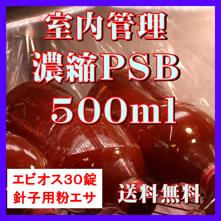 ★送料無料★ 室内管理濃縮培養PSB500ml+エビオス30錠+培養説明書+針子用粉エサ 光合成細菌 水質調整、バクテリア拍卖