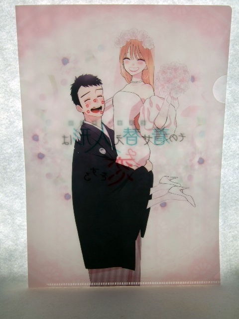 メロンブックス 限定 その着せ替え人形は恋をする 15巻 クリアファイル 250713 特典 Melonbooks 非売品 ブックレット 福田晋一拍卖